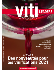 Viti et ses pages spéciales Leaders - abonnement 1 an - 9 numéros + 2 hors-séries